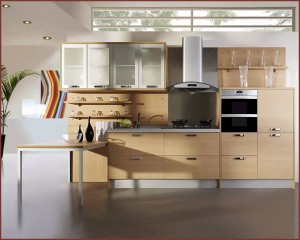 govianu-modern-kitchen-designs-116